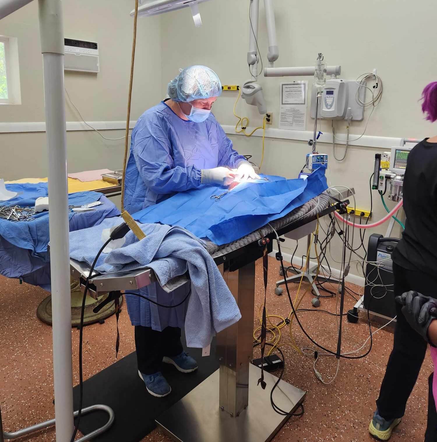 Surgery