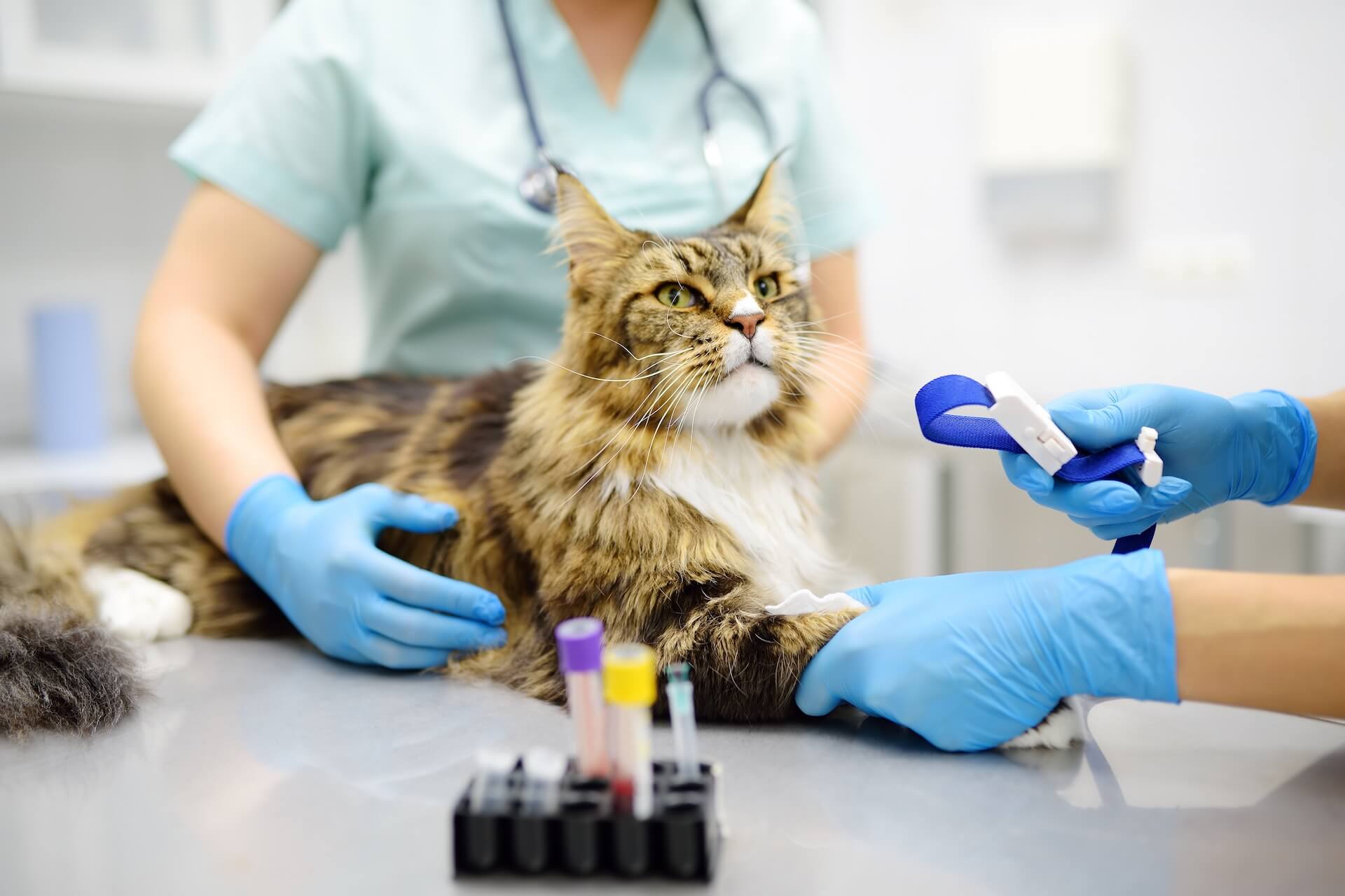 Diagnostic Testing