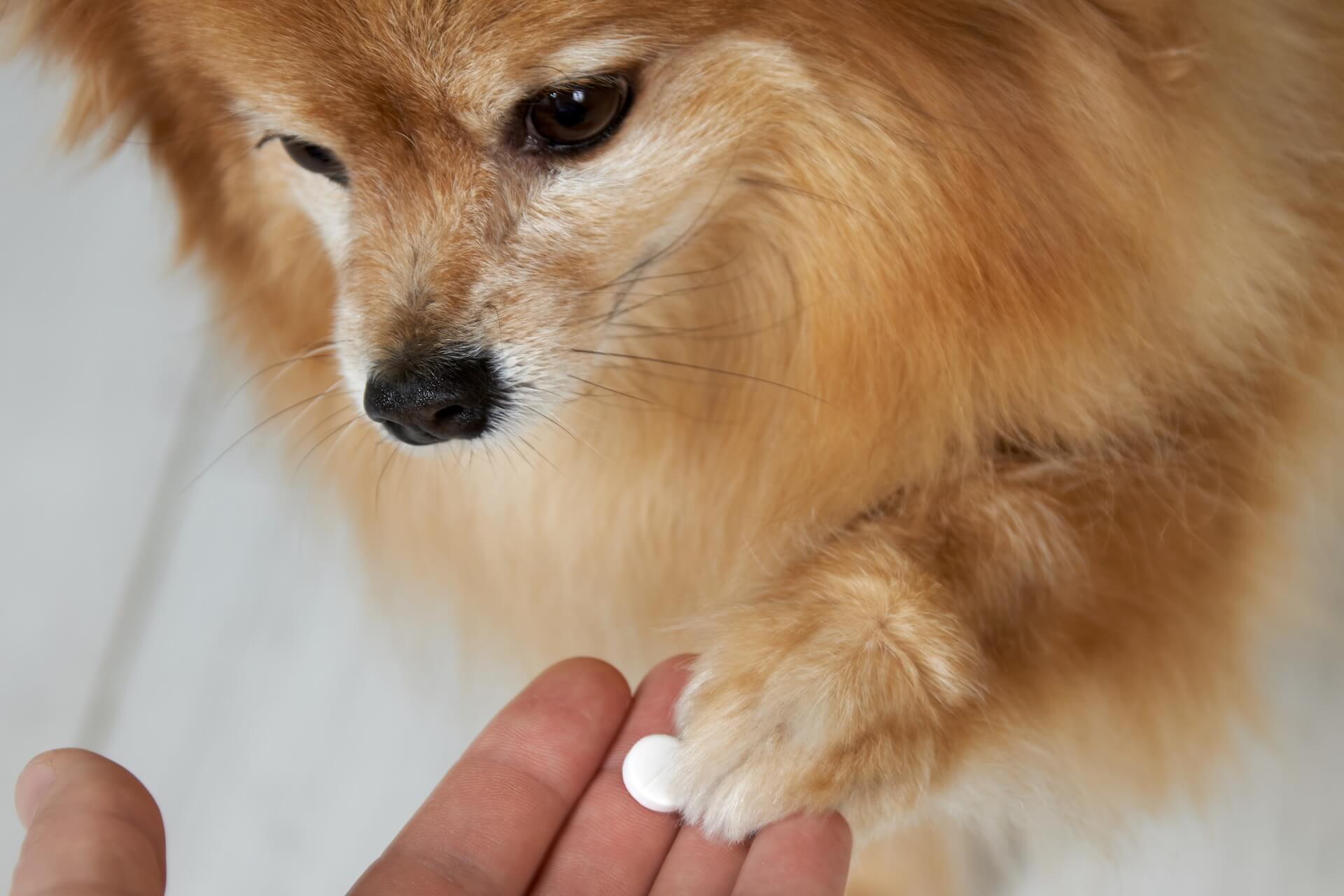 Preventative Care