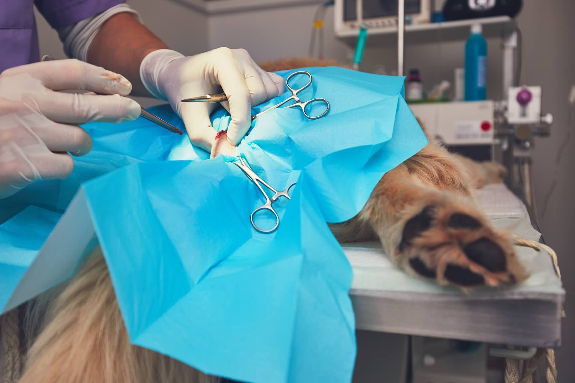 Surgery