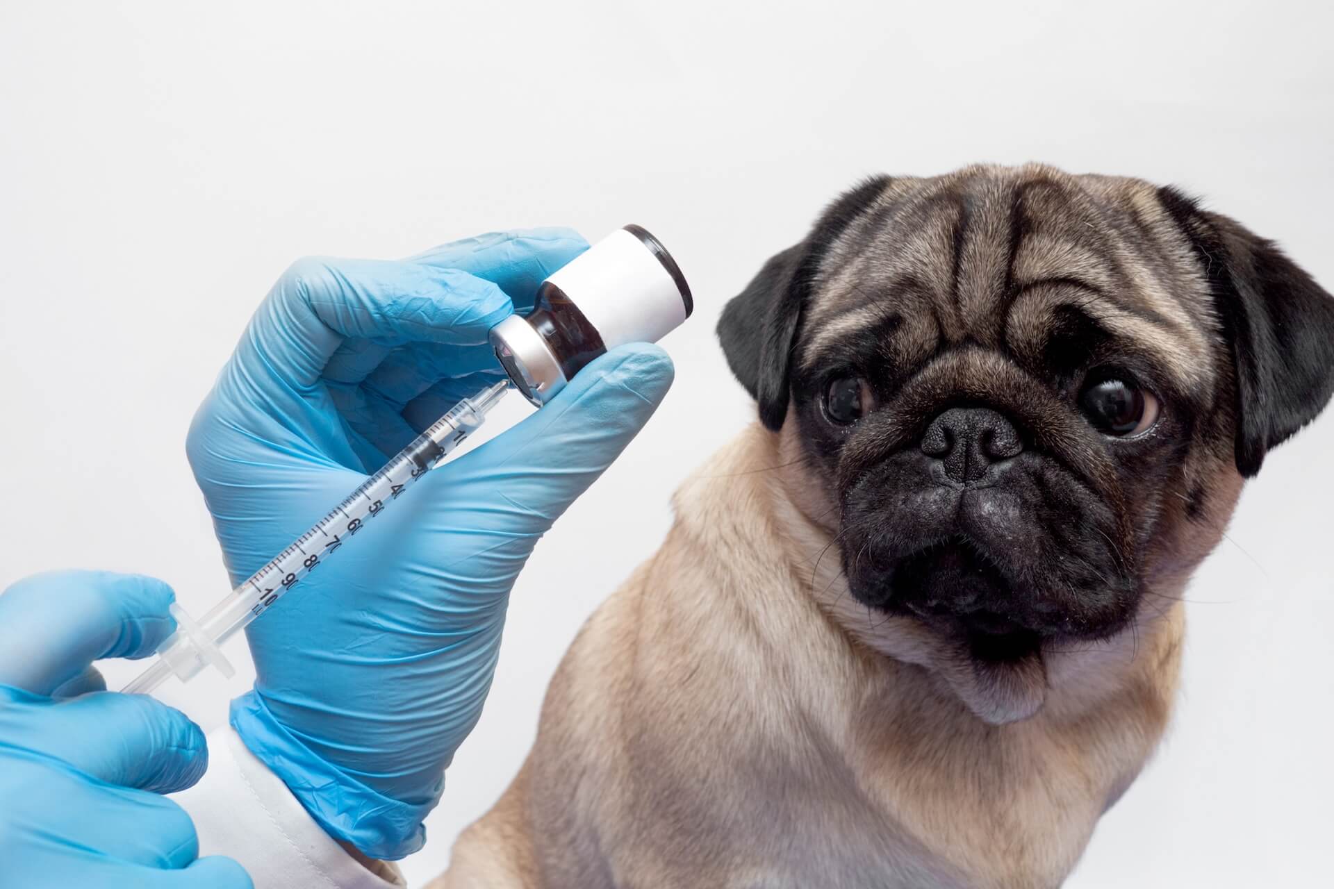 Vaccinations